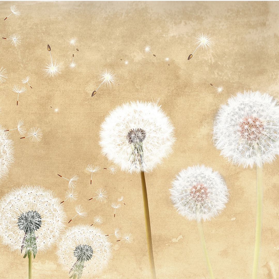 Golden Dandelion