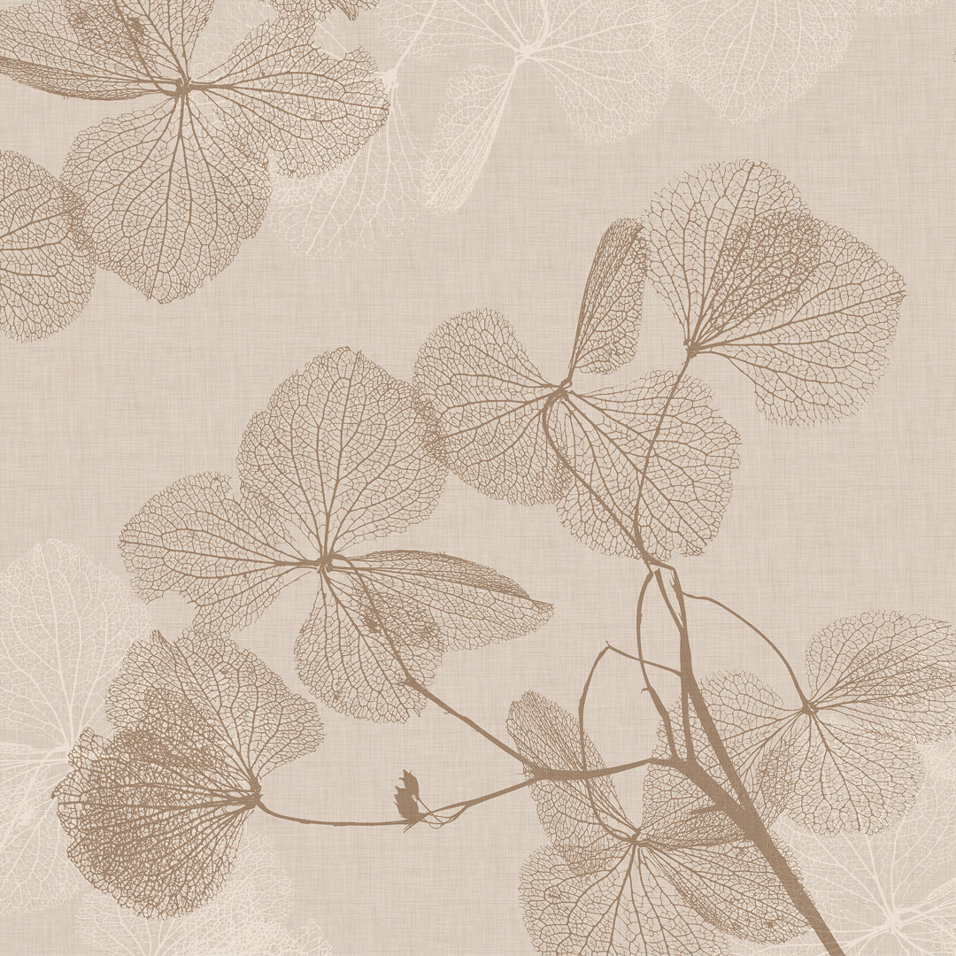 Dry Leaf
