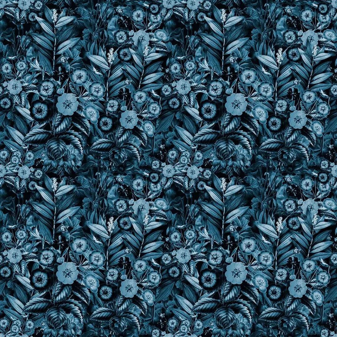 Alcor - Wallverse