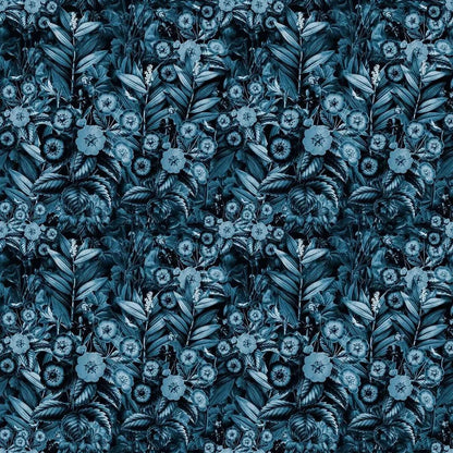 Alcor - Wallverse