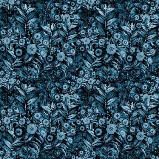Alcor - Wallverse