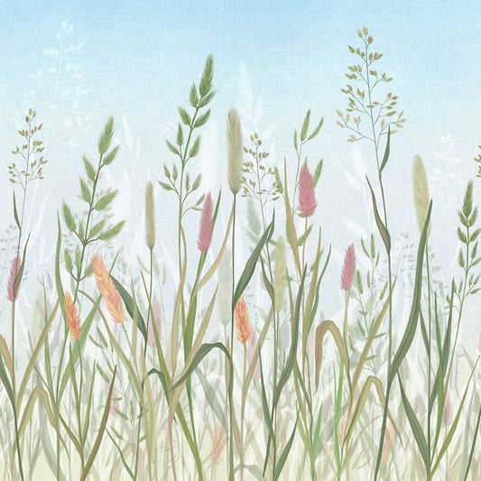 Wildflowers